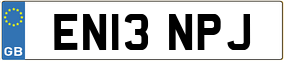 Trailer License Plate